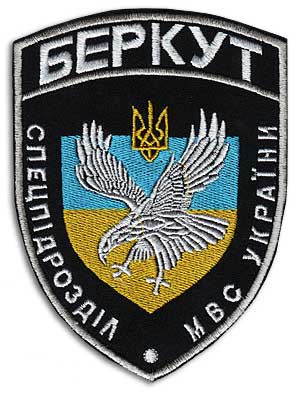 Что делать если вас остановил Беркут